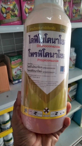 ไดฟีโนโคลนาโซล+โพรพิโคนาโซลป้องกันเชื้อราเมล็ดด่างราดอกกระถินช่วยให้เมล็ดสวยใส