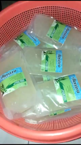 NATA DE ALOEVERA | LIDAH BUAYA KUPAS 500gr | Fresh dan siap untuk dikonsumsi