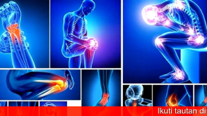 MEGAMOVE Terlaris Obat Nyeri Sendi Memperbaiki Jaringan Sendi Tulang Resmi BPOM