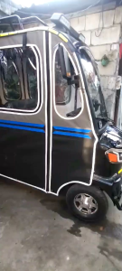 Sunshine S1 Customized Trapal for Two Sides Full Trapal Electric Bicycle with Transparent Windows and Blue Stripes