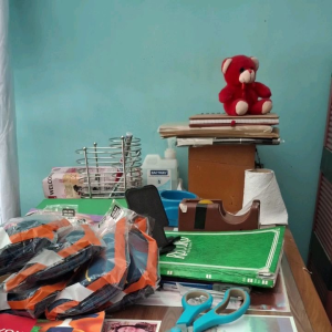 Viv NonWire Bra Soft Cup Bra 36b   199