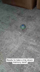 FS 603 Wooden Top and /OR Sipa Toys Turumpo / Trumpo Larong Kalye (Random Color/Design)