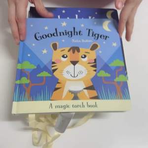 หนังสือไฟฉาย A magic Torch book บอร์ดบุ๊คภาษาอังกฤษ หนังสือกิจกรรมพร้อมภาพประกอบ ปกหนา