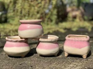 Bộ 4 chậu trồng cây sen đá/xương rồng nhập Trung màu nhẹ