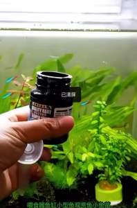 The brine shrimp feeder feeds slowly to avoid scattering fish tank and wasting fish food