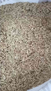 Sekam Padi Murah | Sesuai untuk Ayam Kambing Tanaman & Kompos