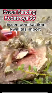 Biang Essen Murni Wangi Amis Micro Cacing mix TUNA gacor bangor untuk Ikan Mas totalan/ babon cocok dipakai galapung/kilogebrus ampuh bereaksi saat dlm Air