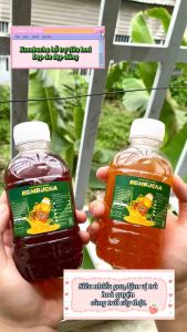 Vải lưới trùm miệng bình kombucha/kefir