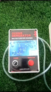 Ozone Generator Strilizer Damisiu 1000Mg 2000Mg