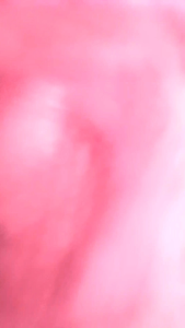 Promo 6 pcs - 3 pcs Bra Bh Burkat Busa Tipis Tanpa kawat Motif Renda