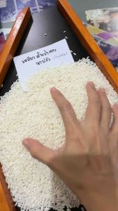 15กก บัวจันทร์ข้าวเหนียวสันป่าตอง ข้าวตราบัวจันทร์15 กก ข้าวจากผู้ผลิต อร่อย นุ่ม สวย ตรงปก ข้าวเหนียวพรีเมี่ยม จากโรงสี เชียงใหม่