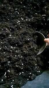 ดินหมักพร้อมใช้ 3 ถุง ผสมเวอร์มิคูไลท์ ปุ๋ยละลายช้า ปุ๋ยคอก ขุยมะพร้าว