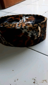 Peci Dewasa Terbaru: Desain Modern & Berkualitas Tinggi