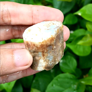 Susu Batu Opal Asli dari Kalimaya Banten: Manfaat & Tips