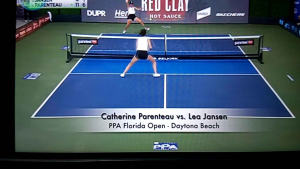 RAKET PICKLEBALL ZIEGER FIBER ORIGINAL HARGA 2 RAKET 4 BOLA 1 TAS