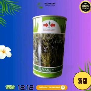 Bibit Seledri Bamby 50gr