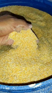 Jagung gred D (Penelur) | Khas untuk dedak telur