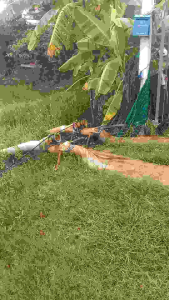 สายส่งน้ำผ้าถุงลม 8"ยาว 50 เมตร  เย็บแน่นรอยเย็บสนิทน ผ้าหนากว่าผ้าร่ม