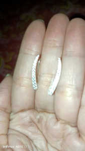 legit silver special with stone earrings