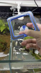 Vòng Nổi Giữ Thức Ăn Cho Cá Ăn | Dụng Cụ Cho Cá Ăn | 8m2