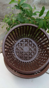 DISKON 2PCS KERANJANG BULAT SERBAGUNA/KERANJANGNYA SAYURAN/TEMPAT BUMBU DAPUR/KERANJANG