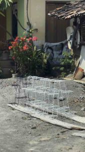 STANDING POT SUSUN 6 TERMURAH