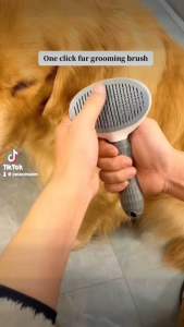 【SG STOCK】Fur Grooming Comb Brush Pet Brush Comb Self Cleaning Dog Brush Cat Brush Grooming Brush