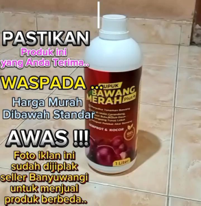 Pupuk Bawang Merah Penyubur Tanah Pelebat Tunas Cegah Hama Moler Embun Bulu Busuk Daun