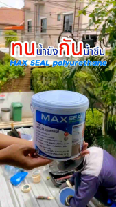 PU MAX SEAL WaterProof แมกซ์ ซีล วอเตอร์พรูฟ สีกันซึมชนิดยืดหยุ่น ขนาด 4 กิโล