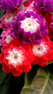 ไม้กฐิน ไม้เสียบธนบัตร ไม้บุญ 🌼🌺ดอกละอองดาว🌸🌷 สินค้าทำจากริบบิ้นกากเพชรใส ขายเป็นชุด (1ชุด /10ไม้) ไม้กฐินธนบัตร - Lazada