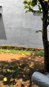 Celana Pendek Tartan Pria santai Premium Original Celana pendek Pria Distro Dewasa