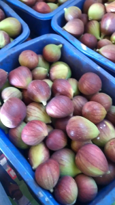 BUAH TIN / ARA FRESH 150gram