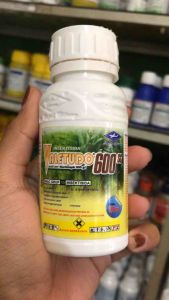 Valetudo 600SC 100ml Klorfenapir Insektisida Mengendalikan Kutu Kutuan Ulat Grayak