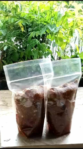 Sambal Kacang Sambel Pecel Homemade Fresh Tanpa Tambahan dan Tanpa Pengawet
