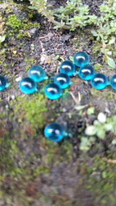 batu akik bulat mini mustiko lipan cendono biru laut