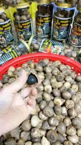 Tỏi đen cô đơn Việt Nam loại 1-vị ngọtkhông hăngdẻolên men tự nhiên 60 ngày theo công nghệ Nhật Bẩn- TÂY BẮC FOOD 277