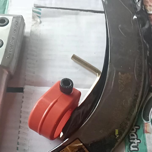 egrek kls palm king long klem baut 1