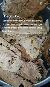 maduKu kelengkeng madu murni dari petani madu