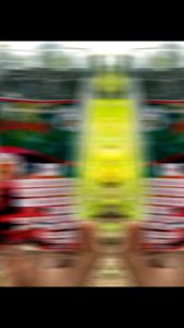 เห็ดหลินจิอแดง แบบชง สูตรหวานน้อย ครึ่งโหล