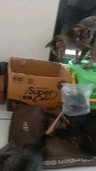 Buyer review video 3