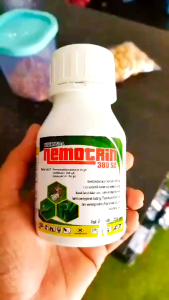 Nemotrin Insektisida 380 SC: Obat Pembasmi Hama Gulma Rumput Liar Padi Racun Ulat Paling Ampuh
