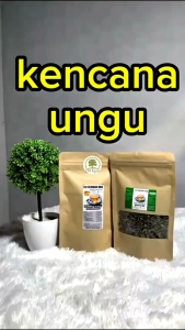Teh Daun Kencana Ungu Obat DiabetesSyaraf ISK dll
