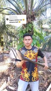 Deskripsi & Spesifikasi Produk DODOS KLS PALM KING ORIGINAL