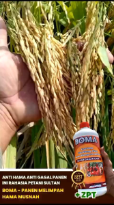 Pupuk Boma 1Ltr Pembasmi Hama + Zpt 100%Original Atasi Tikus Burung Keong Wareng Dan Lain Nya Terampuh