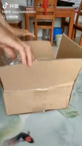 304不锈钢汤锅 (24cm)