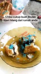 RatKiller Racun Tikus Super Mati Kering Tanpa Bau / Obat Pembasmi Tikus