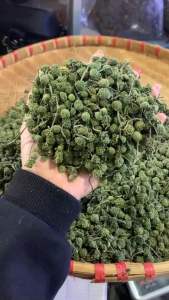 [CHÍNH HÃNG] Nụ Hoa Tam Thất Loại Ngon Nhỏ Chắc Nụ ( Tây Bắc Food )