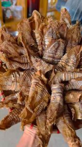 [Tây Bắc Food] Măng Khô Vùng Tây Bắc Chuẩn Măng Điện Biên Lai Châu