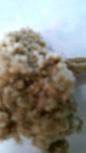 Madu Mongso 500 Gram: Khasiat dan Manfaat Untuk Kesehatan