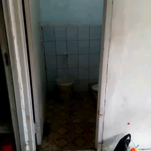 TOILET MZ CLANER 1 LITER: Peralatan Rumah Tangga Antibakteri
